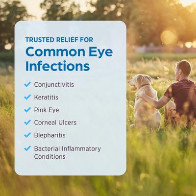 Show full view: Terramycin Ophthalmic Ointment for Dogs, Cats & Horses 3.5-g slide 5 of 10