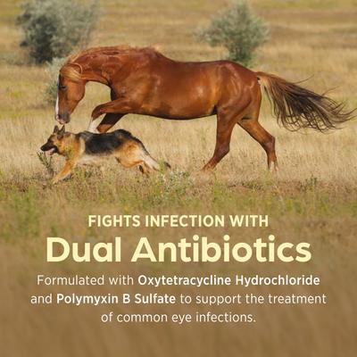 Show full view: Terramycin Ophthalmic Ointment for Dogs, Cats & Horses 3.5-g slide 6 of 10