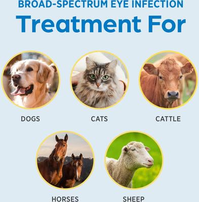 Show full view: Terramycin Ophthalmic Ointment for Dogs, Cats & Horses 3.5-g slide 4 of 10