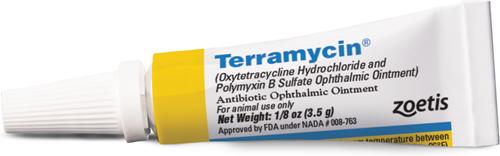 Show full view: Terramycin Ophthalmic Ointment for Dogs, Cats & Horses 3.5-g slide 3 of 10