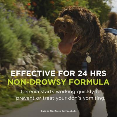Show full view: Cerenia (Maropitant Citrate) Tablets for Dogs, 160-mg, 4 tablets slide 5 of 13
