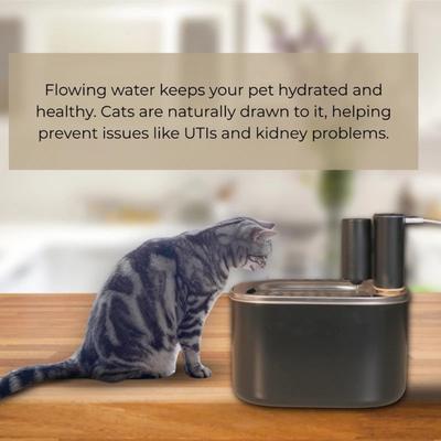 Show full view: Penthouse Paws Smart Wireless Stainless Steel Dog & Cat Water Fountain, Black, 118-oz slide 3 of 11