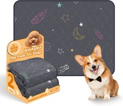 LOOBANI Washable Dog Pee Pads, Gray, 31 x 36-in, 2 count slide 1 of 9