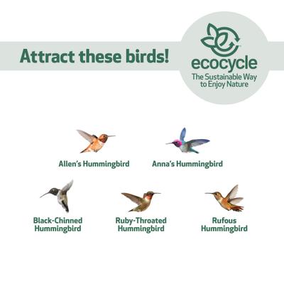 Show full view: EcoCycle Garden Globe Handblown Recycled Glass Nectar Hummingbird Feeder, Blue, 19-oz slide 5 of 8