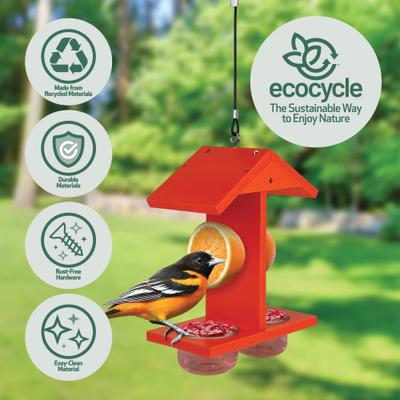 Show full view: EcoCycle Citrus Sampler Recycled Plastic Nectar Orange & Jelly Oriole Wild Bird Feeder, 1.75-cup slide 3 of 8
