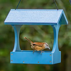 EcoCycle Dine-n-Dash Recycled Plastic House Hopper Wild Bird Feeder, Blue, 1.2-lb slide 2 of 8