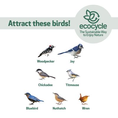 Show full view: EcoCycle Suet Snacker Recycled Plastic Wild Bird Feeder, Blue, 2 cake slide 5 of 8