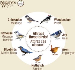 Natures Way Bird Products Decorative Suet Cage Wild Bird Feeder, Black, 1 cake slide 2 of 8