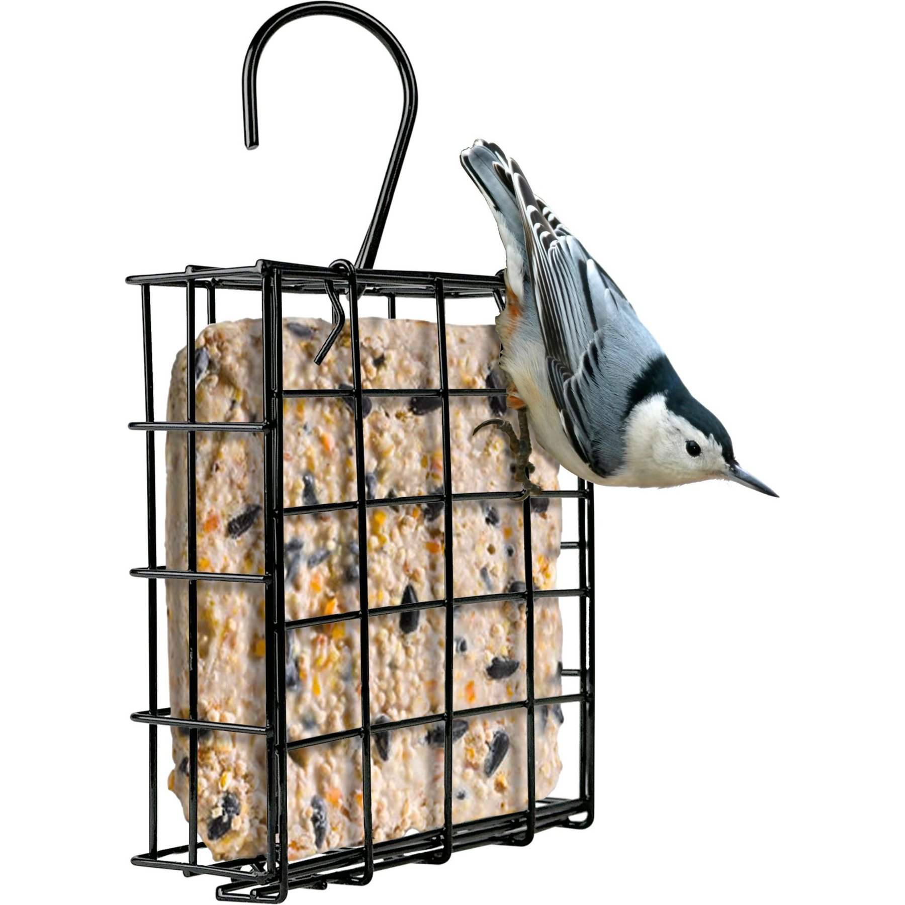 Natures Way Bird Products Suet Cage Wild Bird Feeder, Black, 1 cake
