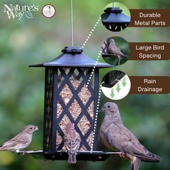 Natures Way Bird Products Contemporary Lantern Gazebo Decorative Wild Bird Feeder, Black, 2.2-lb slide 2 of 6