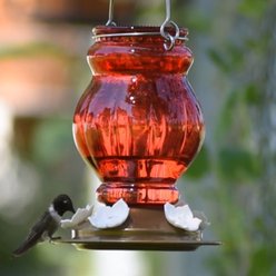 Natures Way Bird Products Antique Ruby Visions Nectar Hummingbird Gravity Feeder, Red, 25-oz slide 2 of 8