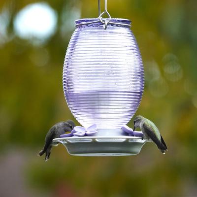 Show full view: Natures Way Bird Products Antique Nectar Hummingbird Gravity Feeder, Lilac Dreams, 29-oz slide 8 of 8
