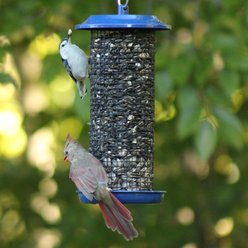 Natures Way Bird Products Cobalt Metal Mesh Mixed Seed & Peanut Wild Bird Feeder, Blue, 2 quart, 3-lb slide 2 of 8