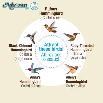 Show full view: Natures Way Bird Products Clear Nectar Ready to Use Hummingbird Food, 8.5-oz bag slide 6 of 8