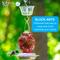 Show in main carousel: Natures Way Bird Products PDQ Tray Hummingbird Feeder Ant Moat, Clear slide 3 of 7