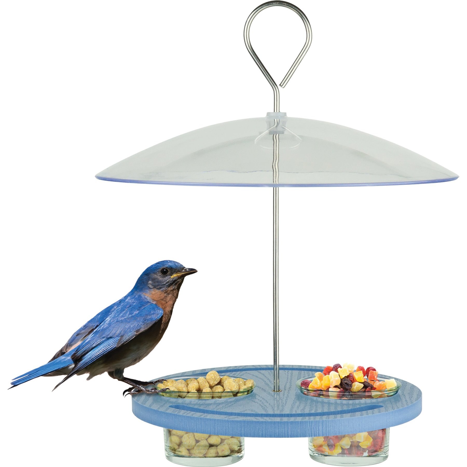 EcoCycle Bluebird Bistro Recycled Plastic Decorative Wild Bird Feeder, Blue, 0.55-cup