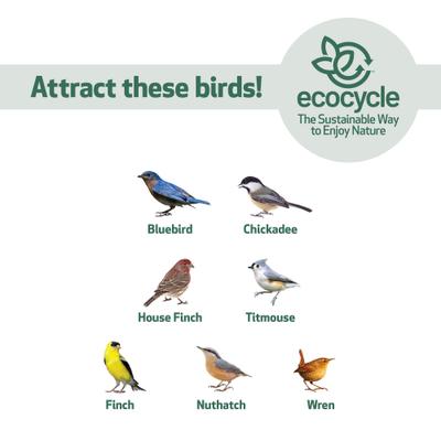 Show full view: EcoCycle Bluebird Bistro Recycled Plastic Decorative Wild Bird Feeder, Blue, 0.55-cup slide 5 of 8