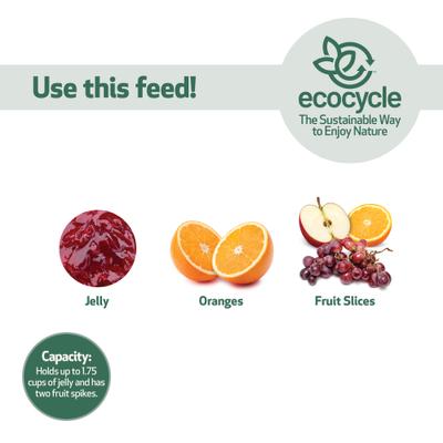 Show full view: EcoCycle Citrus Sampler Recycled Plastic Nectar Orange & Jelly Oriole Wild Bird Feeder, 1.75-cup slide 6 of 8