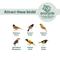 Show in main carousel: EcoCycle Citrus Sampler Recycled Plastic Nectar Orange & Jelly Oriole Wild Bird Feeder, 1.75-cup slide 5 of 8