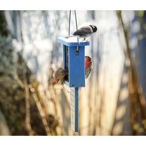 EcoCycle Suet Station Recycled Plastic Tail-Prop Wild Bird Feeder, Blue, 1 cake