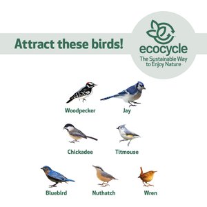 EcoCycle Suet Station Recycled Plastic Tail-Prop Wild Bird Feeder, Blue, 1 cake