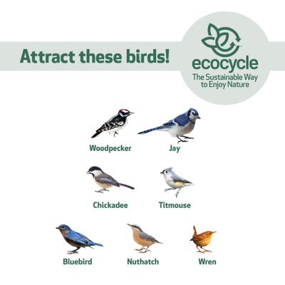 Show full view: EcoCycle Suet Station Recycled Plastic Tail-Prop Wild Bird Feeder, Blue, 1 cake slide 5 of 8