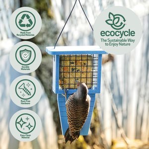 EcoCycle Suet Station Recycled Plastic Tail-Prop Wild Bird Feeder, Blue, 1 cake