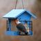 Show in main carousel: EcoCycle Hopper Hangout Recycled Plastic Wild Bird Feeder with Suet, Blue, 4.2-lb slide 8 of 8