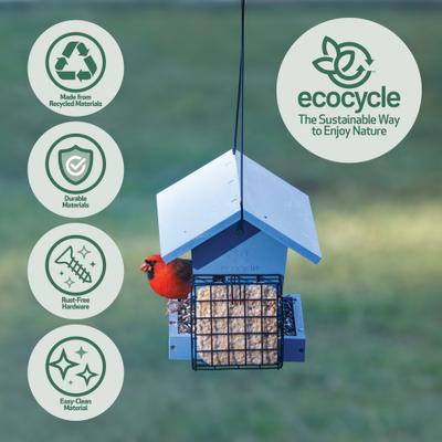 Show full view: EcoCycle Hopper Hangout Recycled Plastic Wild Bird Feeder with Suet, Blue, 4.2-lb slide 3 of 8