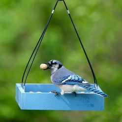 EcoCycle Perfect Picnic Recycled Plastic House Hopper Wild Bird Feeder, Blue, 1.9-lb slide 2 of 8
