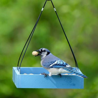 Show full view: EcoCycle Perfect Picnic Recycled Plastic House Hopper Wild Bird Feeder, Blue, 1.9-lb slide 8 of 8