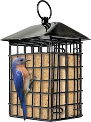 Natures Way Bird Products Suet Cage Wild Bird Feeder with Roof, Black, 2 cake