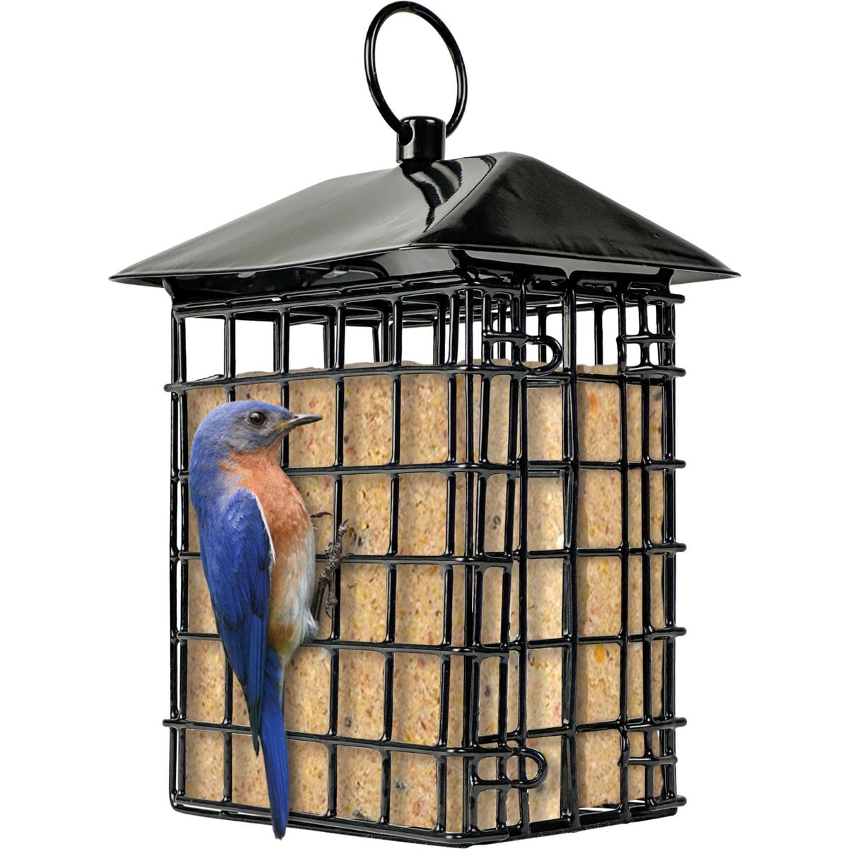 Natures Way Bird Products Suet Cage Wild Bird Feeder with Roof, Black, 2 cake