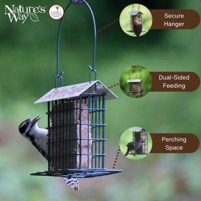 Show full view: Natures Way Bird Products Decorative Suet Cage Wild Bird Feeder, Black, 1 cake slide 3 of 8