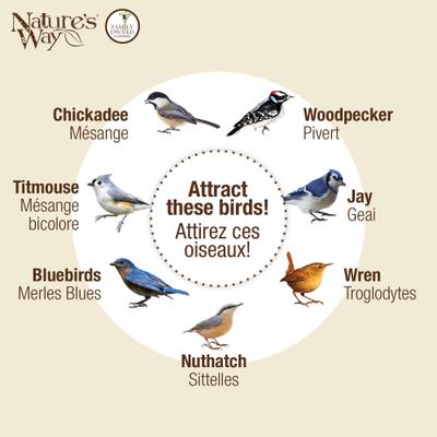 Show full view: Natures Way Bird Products Suet Cage Wild Bird Feeder, Black, 1 cake slide 5 of 8