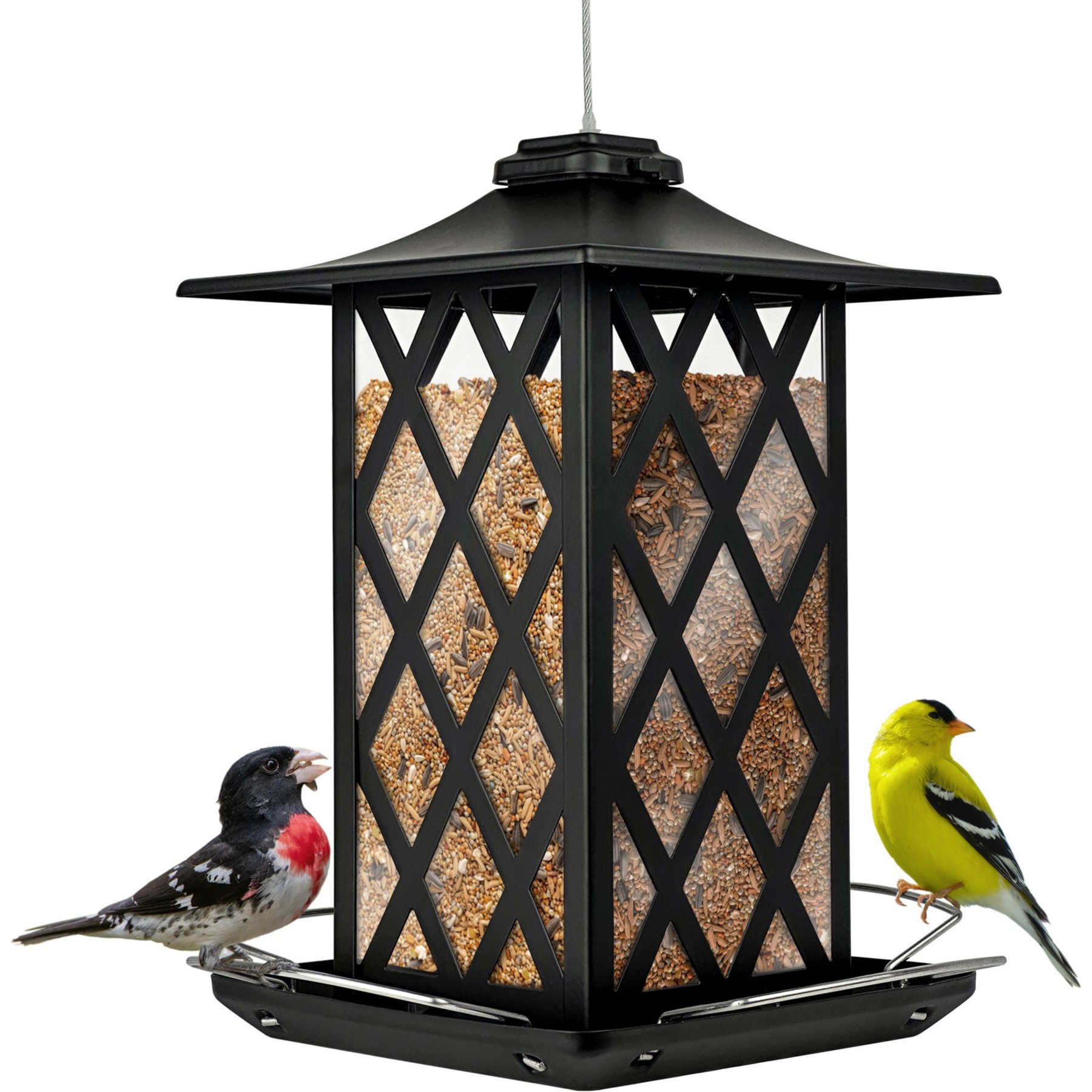 Natures Way Bird Products Contemporary Lantern Gazebo Decorative Wild Bird Feeder, Black, 2.2-lb