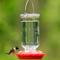 Show in main carousel: EcoCycle Ruby Roost Recycled Glass Nectar Hummingbird Feeder, Red, 17-oz slide 8 of 8