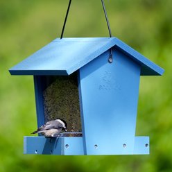 EcoCycle Banquet Recycled Plastic Hopper Wild Bird Feeder, Blue, 3-lb slide 2 of 8