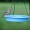 Show in main carousel: EcoCycle Combo Cafe 2-in-1 Recycled Plastic House Hopper Wild Bird Feeder & Bath, Blue, 2-lb slide 8 of 8
