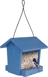 EcoCycle Banquet Recycled Plastic Hopper Wild Bird Feeder, Blue, 3-lb