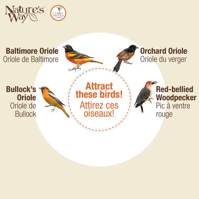 Show full view: Natures Way Bird Products Orange Blossom Oriole Feeder with Jelly Attachments, Orange, 30-oz slide 5 of 8
