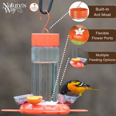 Show full view: Natures Way Bird Products Orange Blossom Oriole Feeder with Jelly Attachments, Orange, 30-oz slide 3 of 8