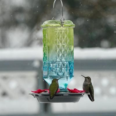 Show full view: Natures Way Bird Products Antique Seafoam Ombre Column Nectar Hummingbird Gravity Feeder, 23-oz slide 8 of 8