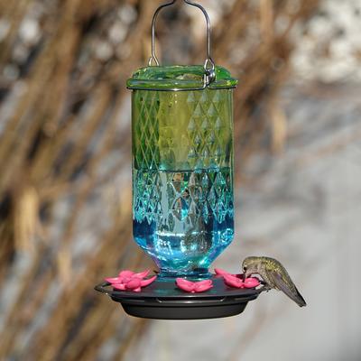 Show full view: Natures Way Bird Products Antique Seafoam Ombre Column Nectar Hummingbird Gravity Feeder, 23-oz slide 7 of 8