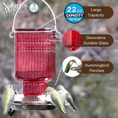 Show full view: Natures Way Bird Products Antique Crimson Carnation Nectar Hummingbird Gravity Feeder, Red, 22-oz slide 3 of 8