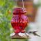 Show in main carousel: Natures Way Bird Products Antique Ruby Visions Nectar Hummingbird Gravity Feeder, Red, 25-oz slide 7 of 8