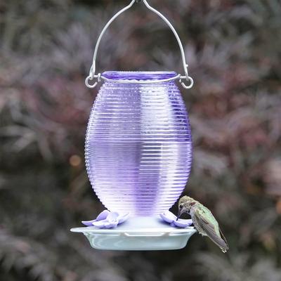 Show full view: Natures Way Bird Products Antique Nectar Hummingbird Gravity Feeder, Lilac Dreams, 29-oz slide 7 of 8