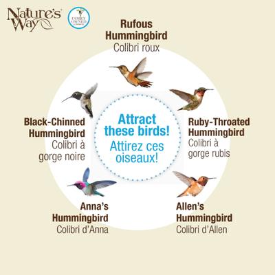 Show full view: Natures Way Bird Products Antique Nectar Hummingbird Gravity Feeder, Lilac Dreams, 29-oz slide 5 of 8