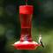 Show in main carousel: Natures Way Bird Products Gravity Crimson Silhouette Nectar Hummingbird Feeder, Red, 11-oz slide 8 of 8