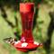 Show in main carousel: Natures Way Bird Products Gravity Crimson Silhouette Nectar Hummingbird Feeder, Red, 11-oz slide 7 of 8